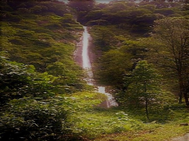 lingzya falls